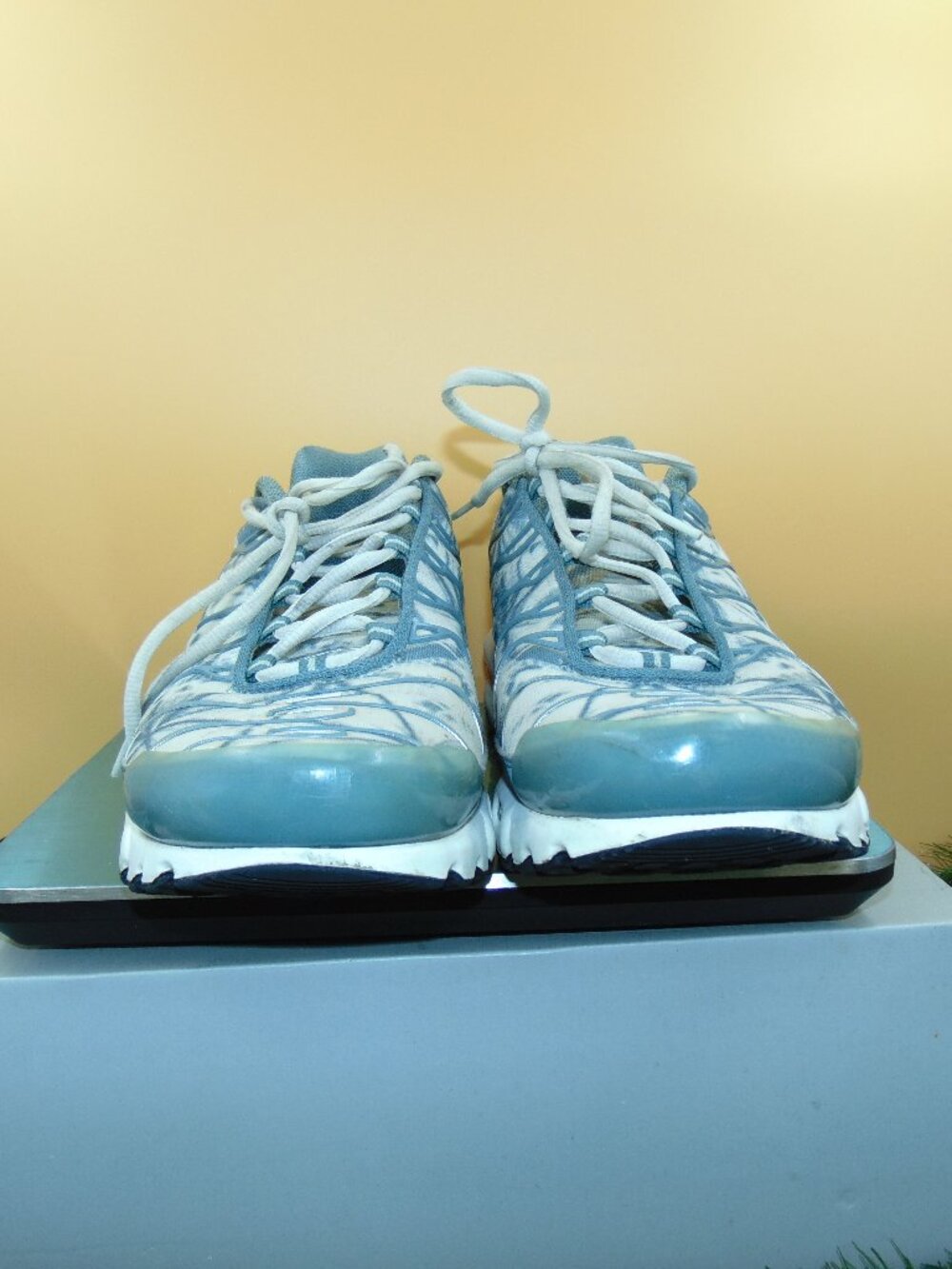 Size 12 - Nike Air Max Plus Palm Pack - Waterway